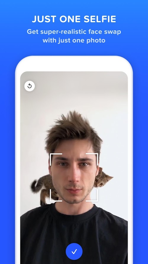 Doublicat: Face Swap app on PC 