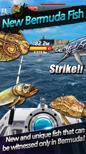 Ace Fishing : Wild Catch added - Ace Fishing : Wild Catch