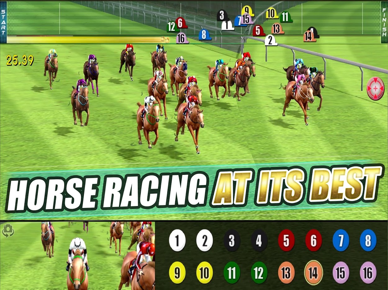 horse racing training game online