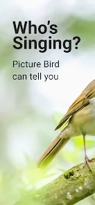 Download Play Picture Bird Bird Identifier On Pc With Noxplayer Appcenter