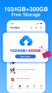 Baixar e jogar TeraBox Cloud Storage: Cloud Backup de dados no PC