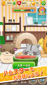 Download & Play Hamster Life match and home on PC with NoxPlayer