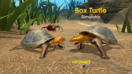 Box Turtle SimulatorをPCでダウンロード・遊ぶ方法 - NoxPlayer
