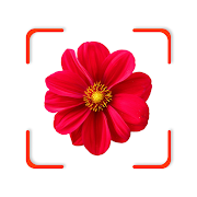 gameIcon
