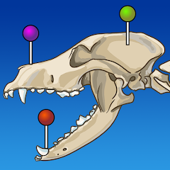 gameIcon