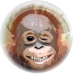 gameIcon