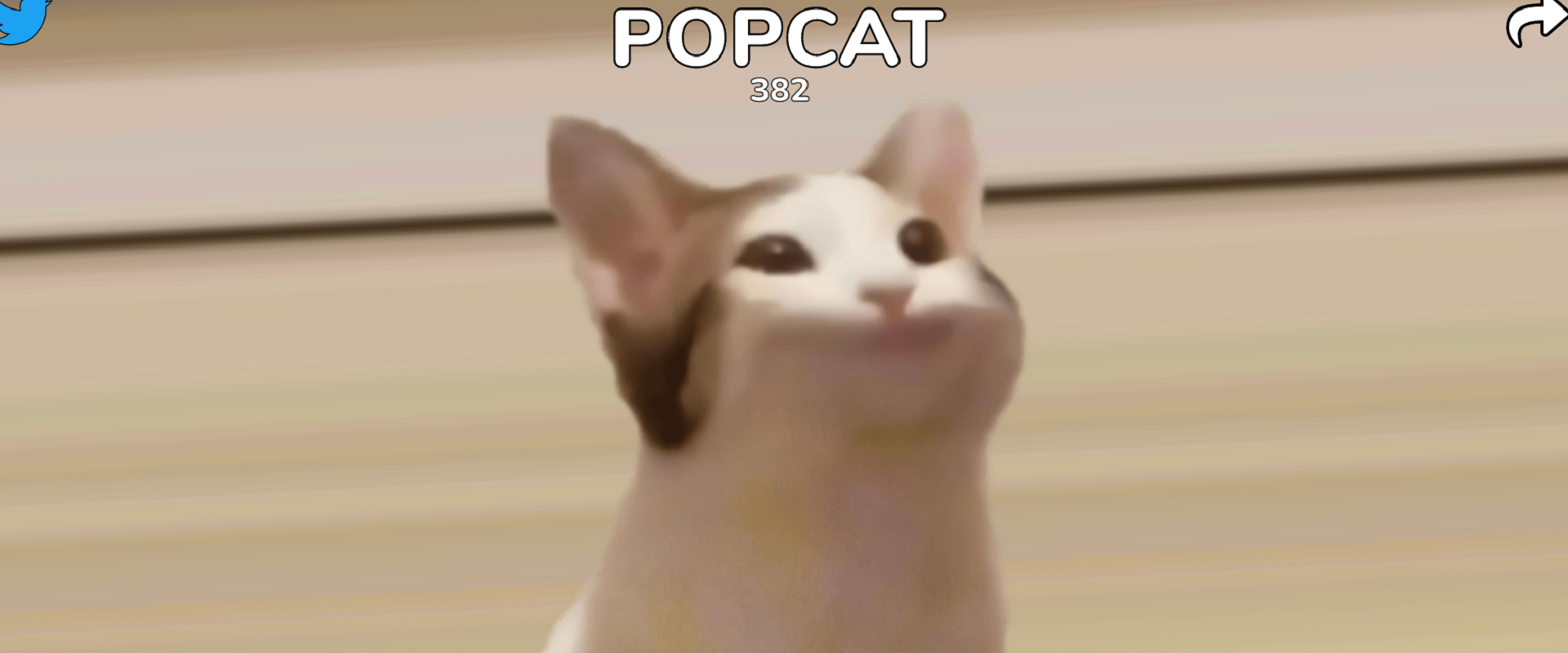 ดาวน์โหลดและเล่น PopCat บน PC ด้วย NoxPlayer โปรแกรมจำลองฟรี