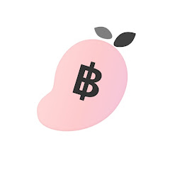 BlinkLoan-สหายทางการเงิน