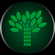 gameIcon
